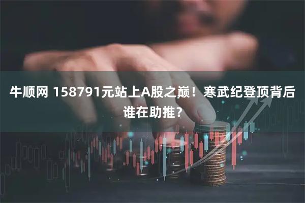 牛顺网 158791元站上A股之巅！寒武纪登顶背后谁在助推？